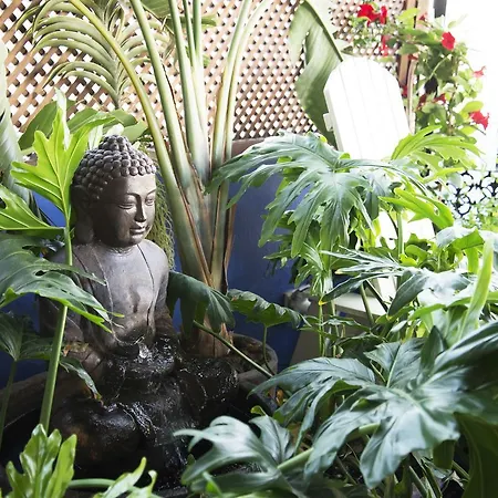 Residencial Terra De Mar Calpe, Grupo Terra De Mar, Con Encanto בית הארחה